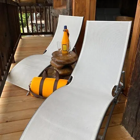 Chalet Grand Standing Vallee Chamonix Mont Blanc